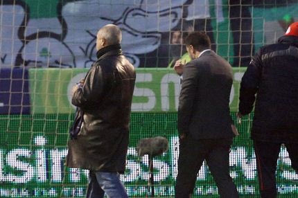 Μάγκας Αναστασίου, απαράδεκτος Περέιρα