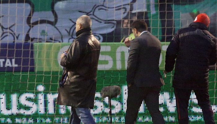 Μάγκας Αναστασίου, απαράδεκτος Περέιρα