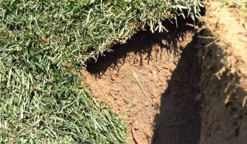 Τα “μπαλώματα” στο ΔΑΚ Κομοτηνής (VIDEO)