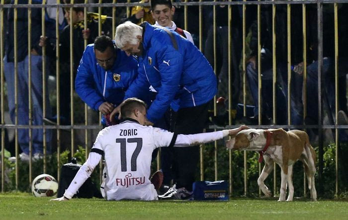 Ο τετράποδος φίλος του Ζόριτς (PHOTOS)