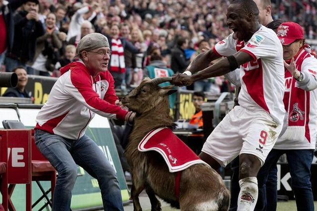 Απίστευτος πανηγυρισμός: O Ούτζα έπιασε ζωντανό τράγο από τα… κέρατα (VIDEO)