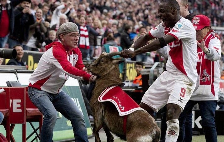 Απίστευτος πανηγυρισμός: O Ούτζα έπιασε ζωντανό τράγο από τα… κέρατα (VIDEO)