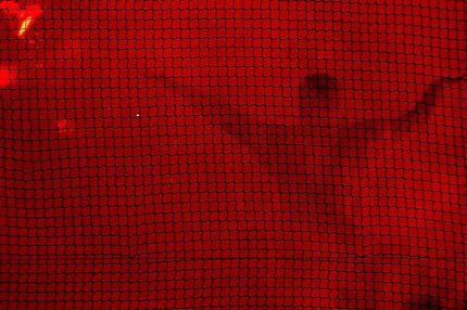 Ξυπνήστε από τον λήθαργο, σηκωθείτε από τον καναπέ!