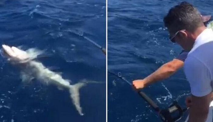 Ψάρεψε… καρχαρία ο Φαν Πέρσι!