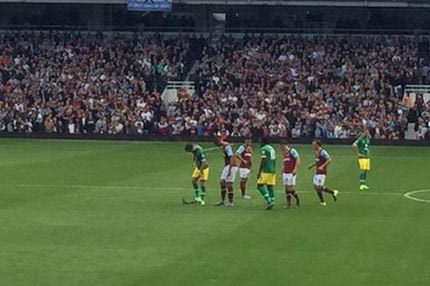 Περιστέρι… προσγειώθηκε στον αγωνιστικό χώρο