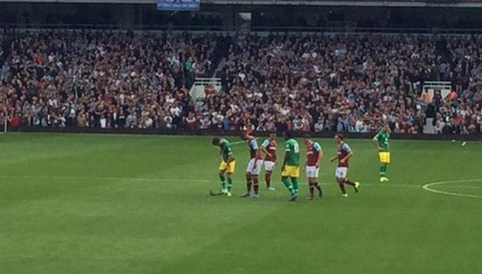 Περιστέρι… προσγειώθηκε στον αγωνιστικό χώρο