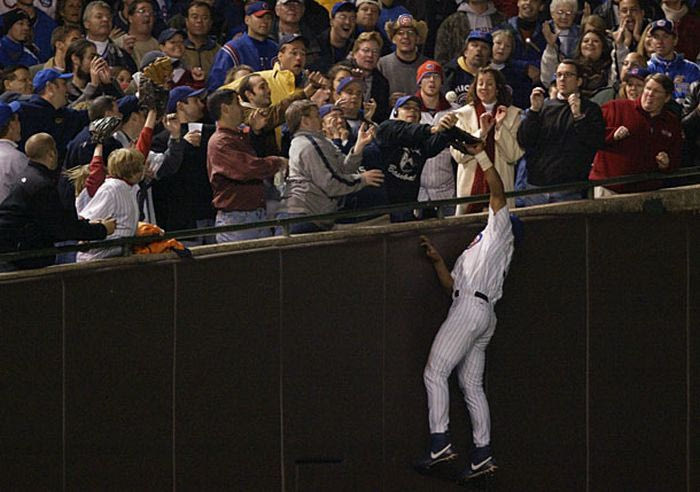 Η αρκούδα ξύπνησε από τη χειμερία νάρκη