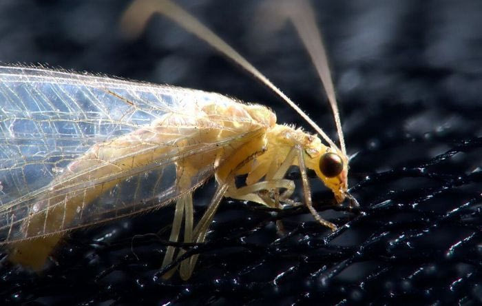 Ποιος θα ξεχειμωνιάσει σπίτι σας φέτος;