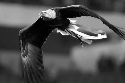 Αγόρασαν αετό στον ΠΑΟΚ!