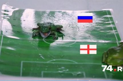 Τα… βατράχια προβλέπουν τον νικητή στο Αγγλία – Ρωσία