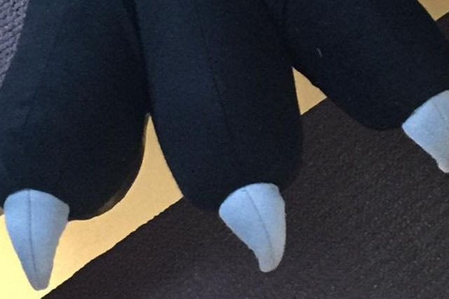 Γνώρισαν τη μασκότ οι ποδοσφαιριστές της ΑΕΚ