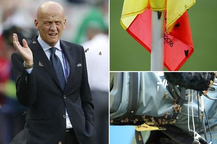 Επίθεση νυχτοπεταλούδων στο “Σταντ ντε Φρανς”