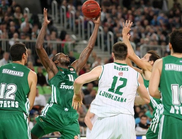 Η τάπα του Λάσμε