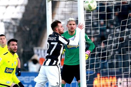 Ένα λιοντάρι που… νιαουρίζει