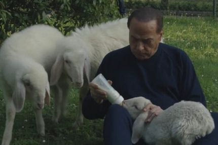 Ποιά πώληση της Μίλαν; Ο Μπερλουσκόνι ταΐζει πρόβατα!