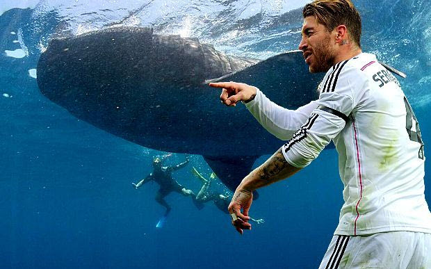 Ο Ράμος κολυμπάει δίπλα σε φαλαινοκαρχαρία 20 τόνων!