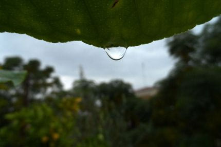 Η επιστήμη σηκώνει τα χέρια ψηλά