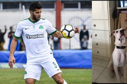 Αυτός είναι ο πιο γλυκός τετράποδος φίλος του Παναθηναϊκού