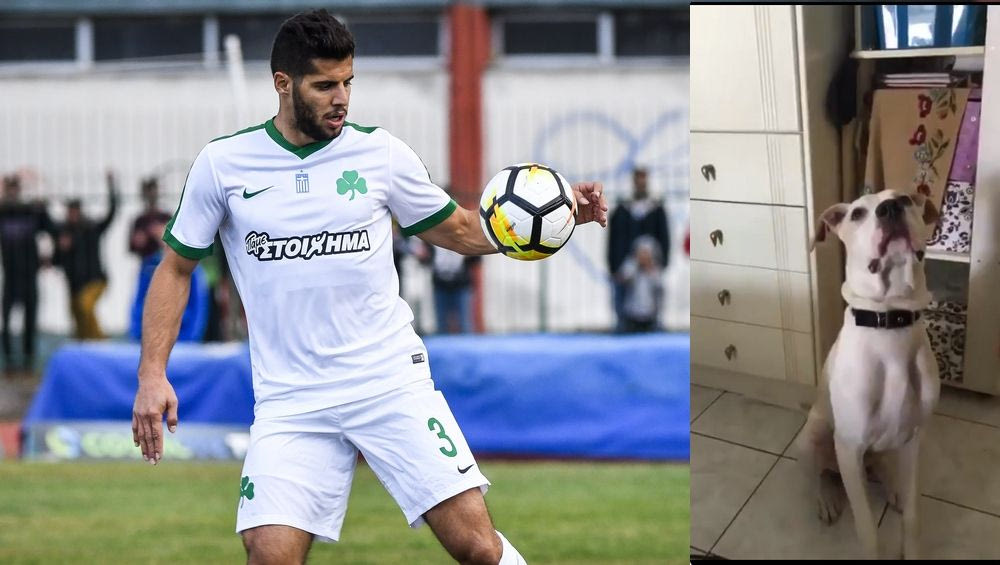 Αυτός είναι ο πιο γλυκός τετράποδος φίλος του Παναθηναϊκού