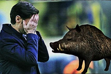 Ισπανός κόουτς που έφτασε κοντά στον Ολυμπιακό τράκαρε με αγριογούρουνο!