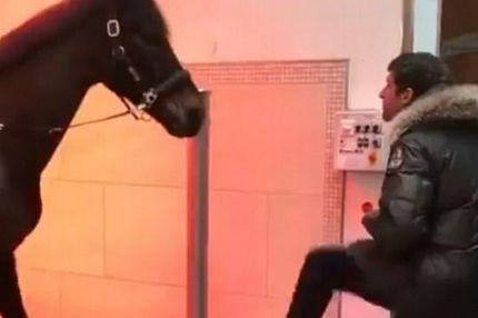 Ο Μίλερ το ΤΕΡΜΑΤΙΣΕ και χορεύει με άλογο!