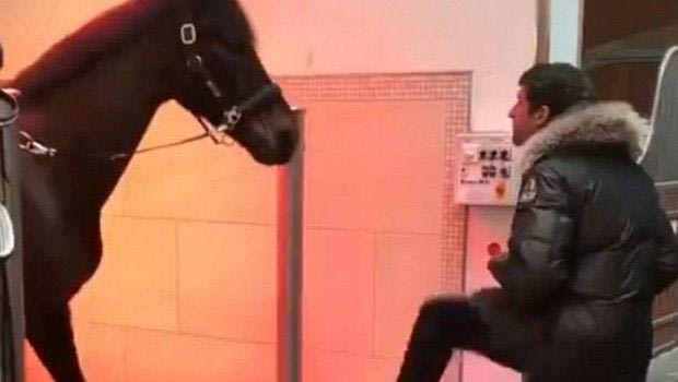 Ο Μίλερ το ΤΕΡΜΑΤΙΣΕ και χορεύει με άλογο!