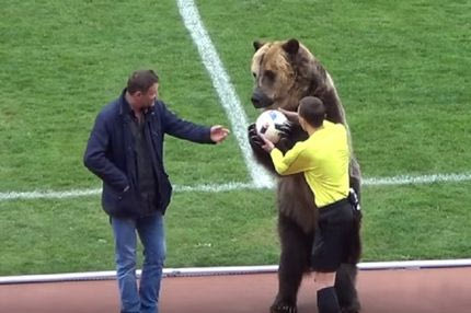 Η αρκούδα που τρέλανε τον Γιώργο Σαββίδη!