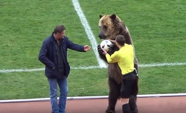 Η αρκούδα που τρέλανε τον Γιώργο Σαββίδη!