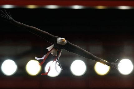 ΑΕΚ και ΠΑΟΚ… μάτιασαν τον αετό της Μπενφίκα