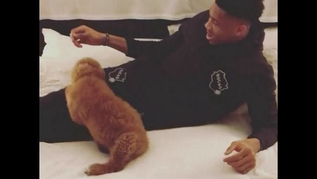 Το διάσημο σκυλί του Γιάννη Αντετοκούνμπο