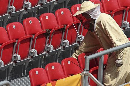 Οι μέλισσες… χούλιγκαν τρομοκρατούν το ποδόσφαιρο της Τανζανίας