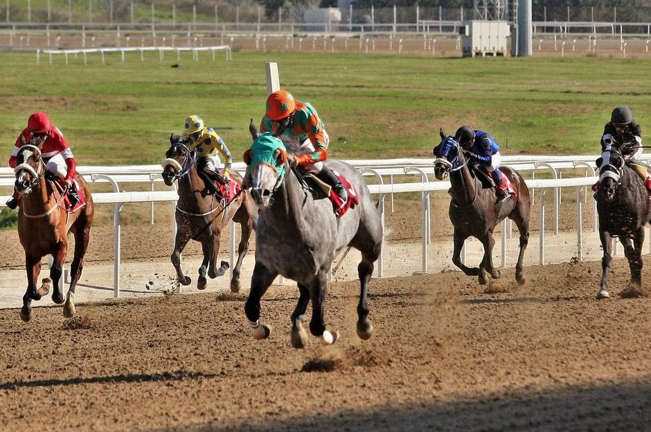 Μεγάλος αριθμός νικητών στο ιπποδρομιακό στοίχημα κι αυτή την Κυριακή