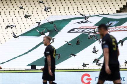 Επιδρομές πουλιών, κουνουπιών και οι πιο παράξενες στιγμές της 4ης αγωνιστικής