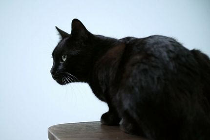 Τύχη και δεύτερη ευκαιρία πάνε μαζί;